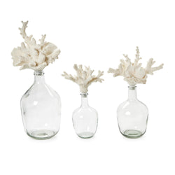 Glass Bottle Jars with Coral Stopper - 3 Sizes