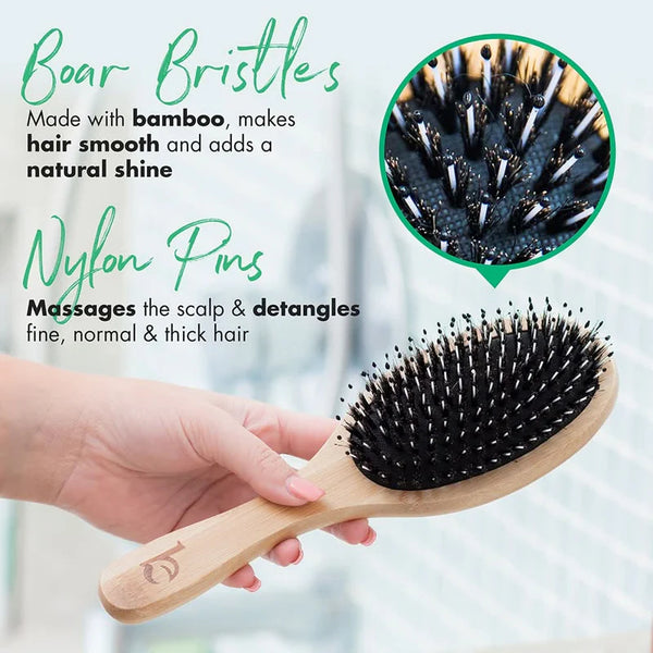 Boar Bristle Hair Brush