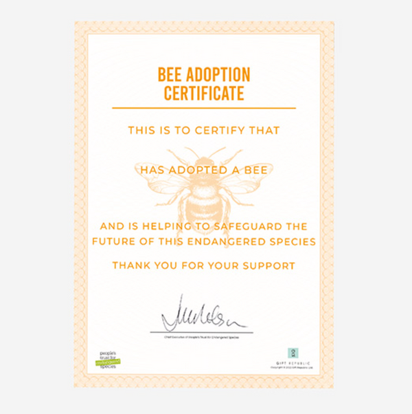 Adopt a Bee