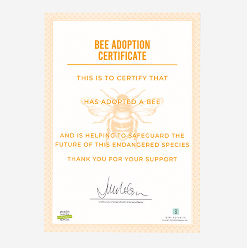 Adopt a Bee