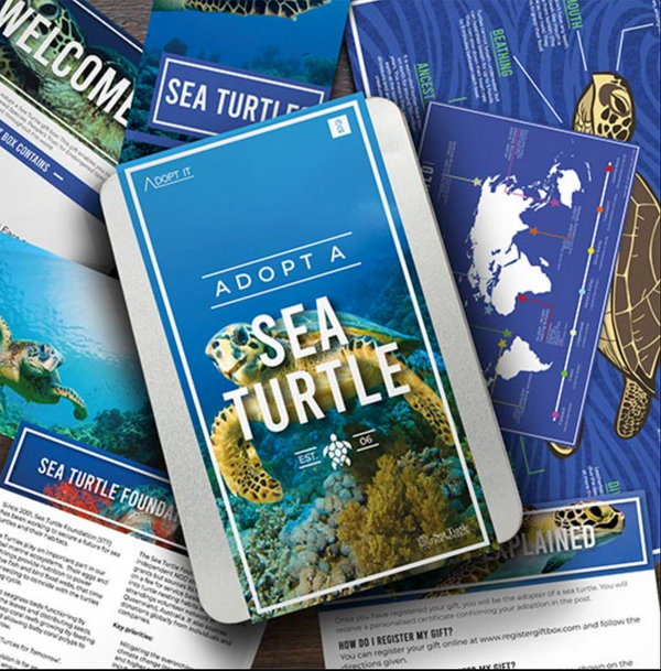 Adopt a Sea Turtle