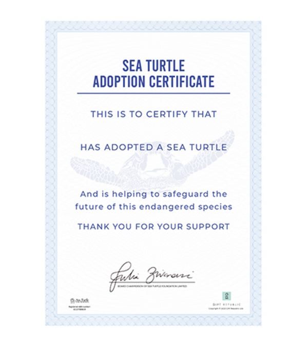 Adopt a Sea Turtle