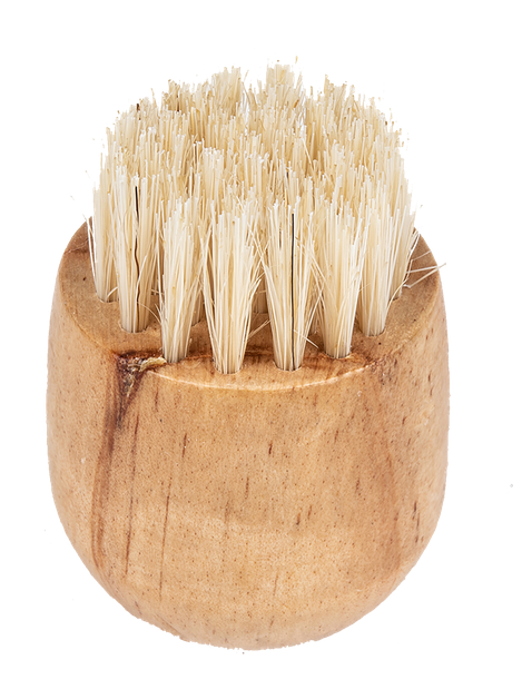 Cedar Handheld Complexion Brush