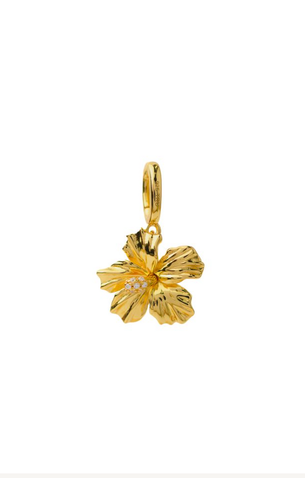 Bermuda Hibiscus Charm