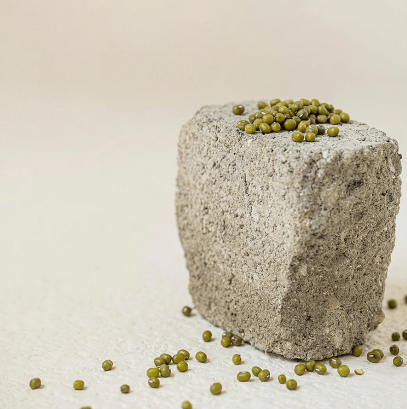 Green Plum Refreshing Toner : AHA + BHA