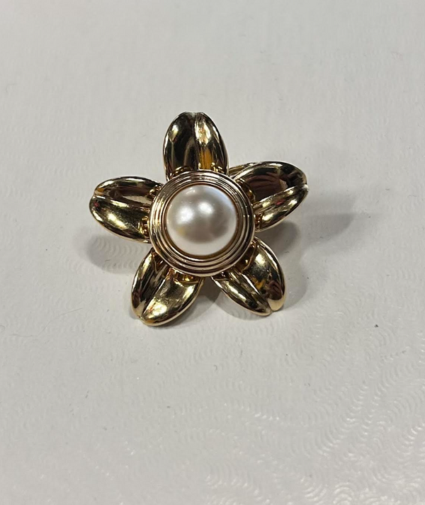 Brooch .... with charm will decide upon arrival