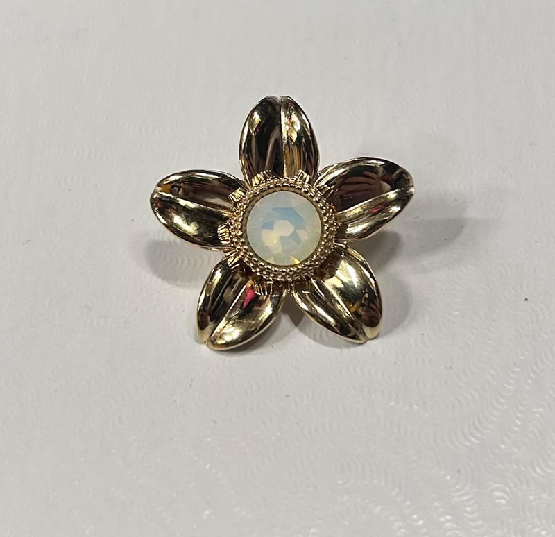 Brooch .... with charm will decide upon arrival