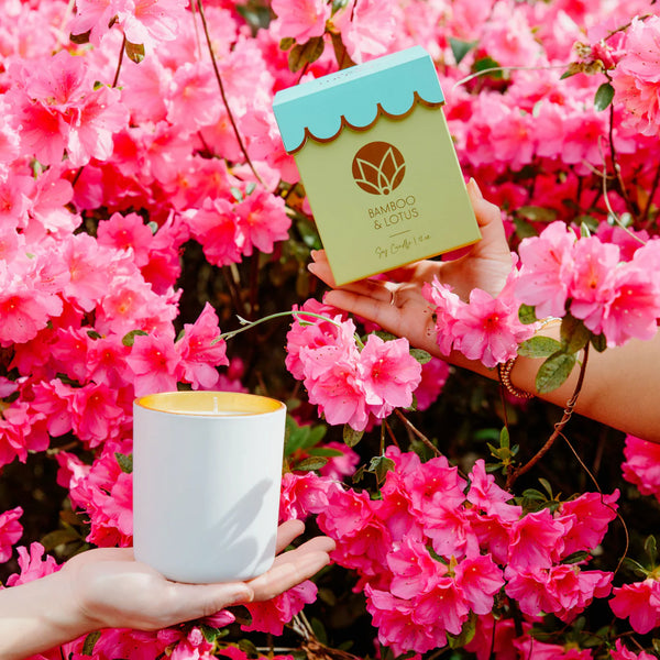 Bamboo & Lotus Scalloped Candle