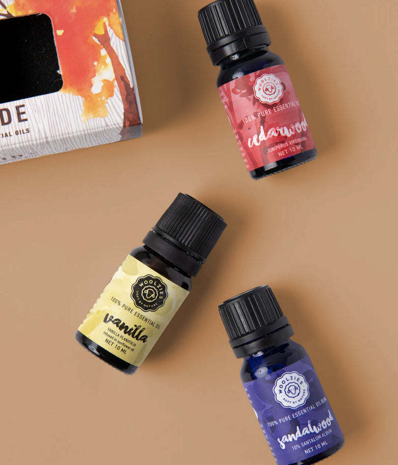The Cozy Fireside Collection