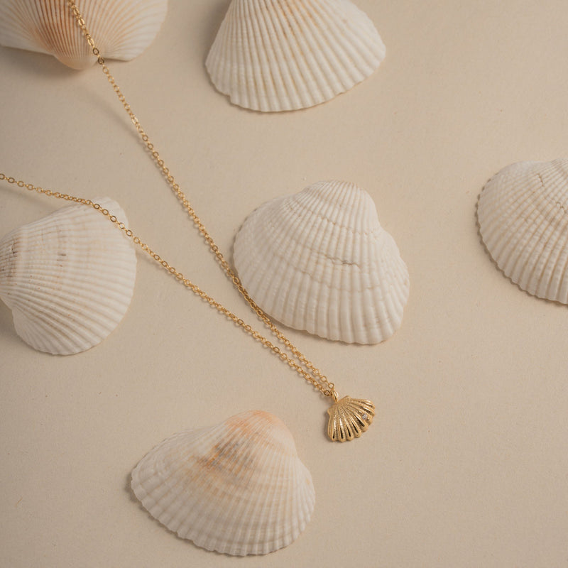 Sterling Silver Gold Vermeil Seashell CZ Necklace