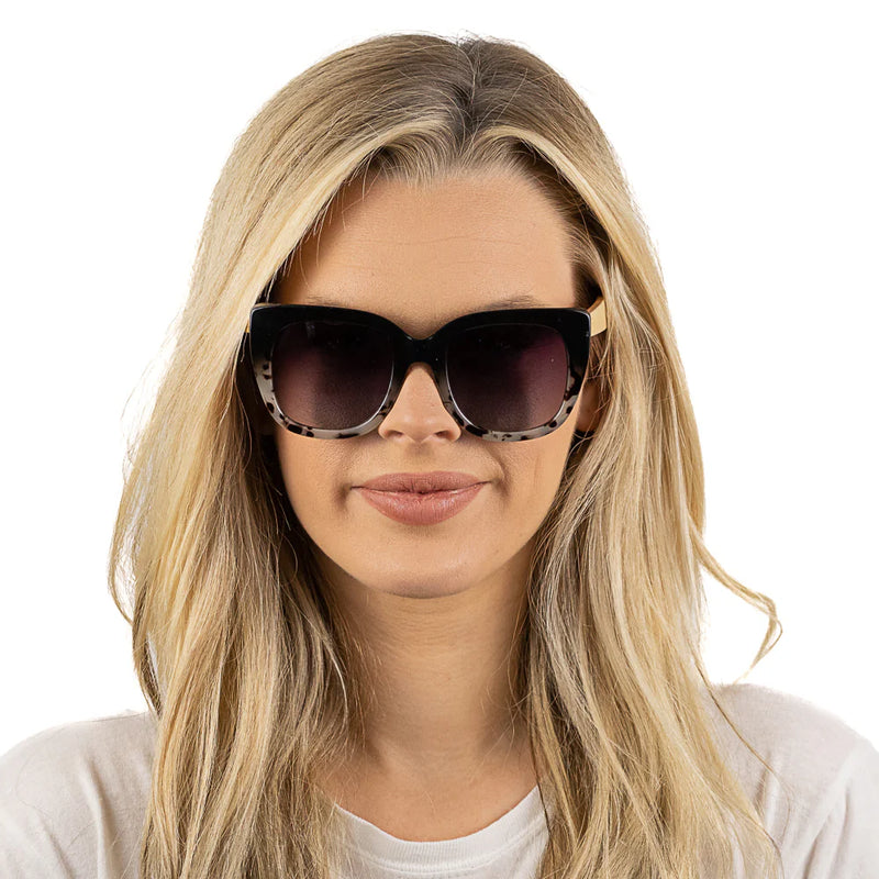 RIVIERA BLACK IVORY TORT Black Gradient Lens l White Maple Arms