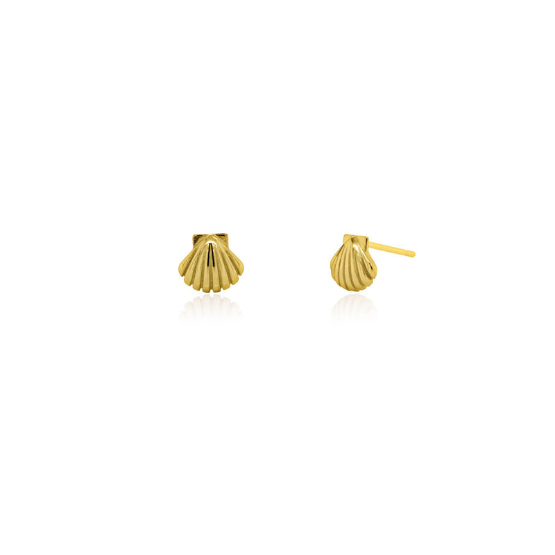 Sterling Silver Gold Vermeil Seashell Stud Earrings