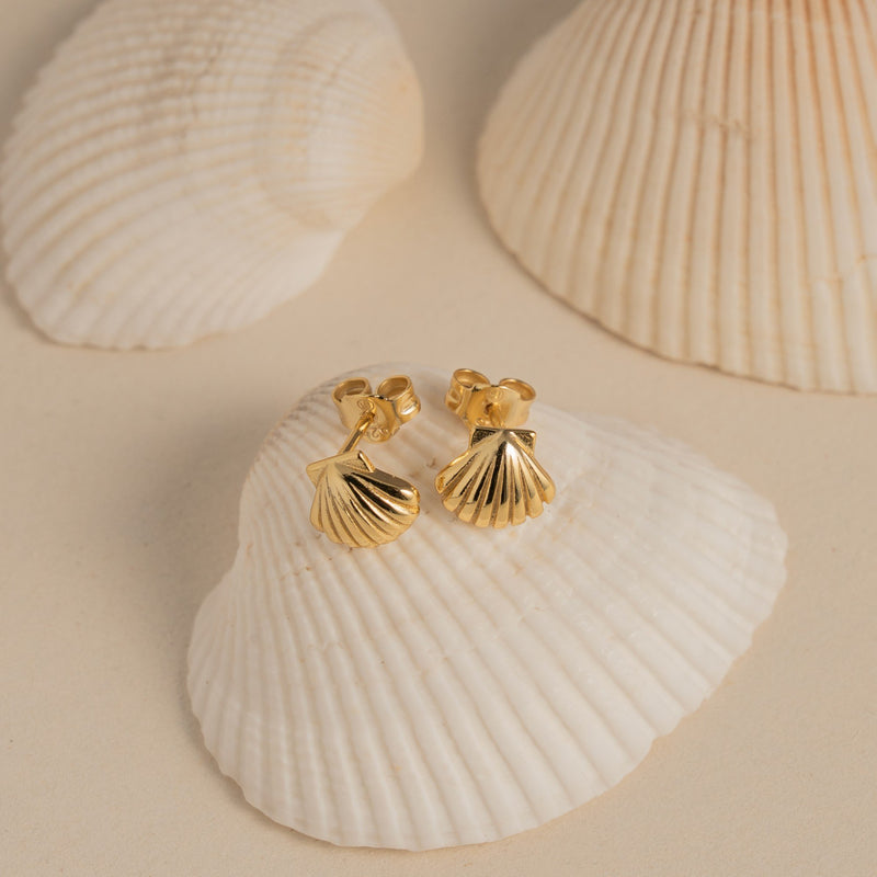 Sterling Silver Gold Vermeil Seashell Stud Earrings