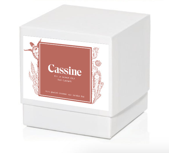 Cassine Candle