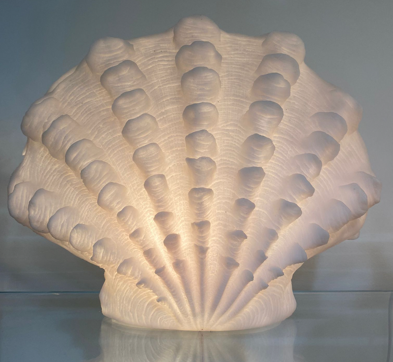 Clam Shell Light - Large
