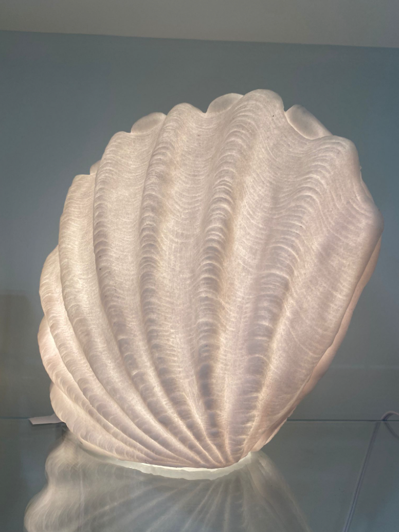 Shell Light -Large