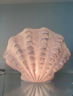 Clam Shell Light - Medium